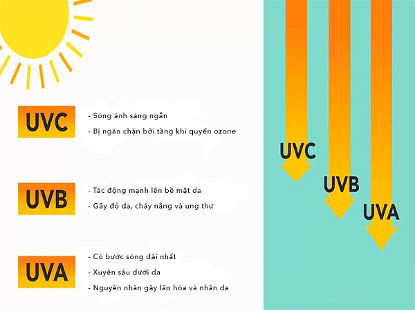 Tác hại của tia UV