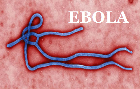 Bệnh Ebola