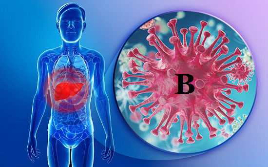 Câu hỏi thường gặp về bệnh viêm gan B