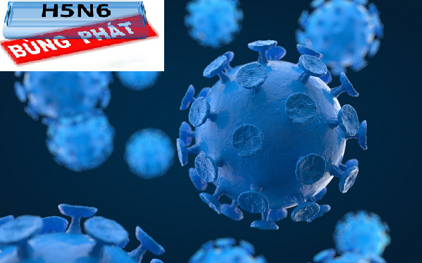 Bệnh cúm A H5N6 có tốc độ lây lan nhanh và dễ bùng phát thành dịch