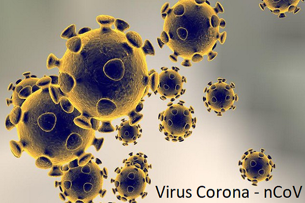 Cẩm nang bệnh viêm phổi do virus corona